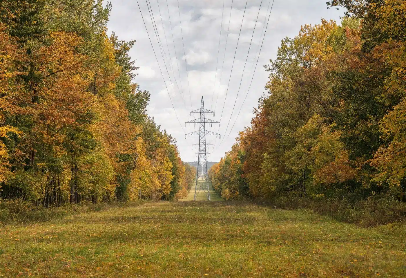 A transmission line easement corridor cut through autumn woodland with a steel pylon
