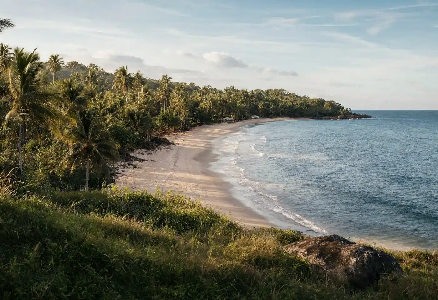 A curve of undeveloped tropical coastline backed by palms, representing foreign concession property