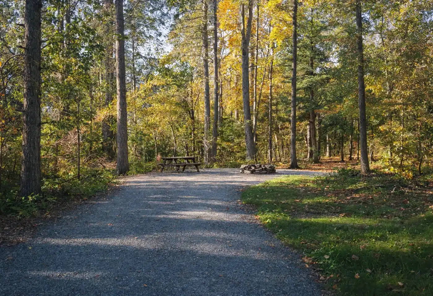 An empty deeded campground lot with a gravel spur, picnic table and fire ring in autumn woodland